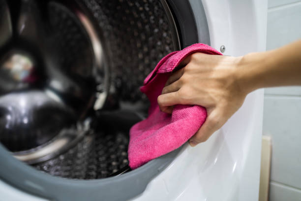  Bay Springs, MS Mold Removal Pros