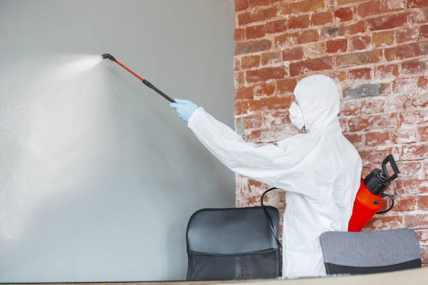 Best Dehumidification Services  in Bay Springs, MS