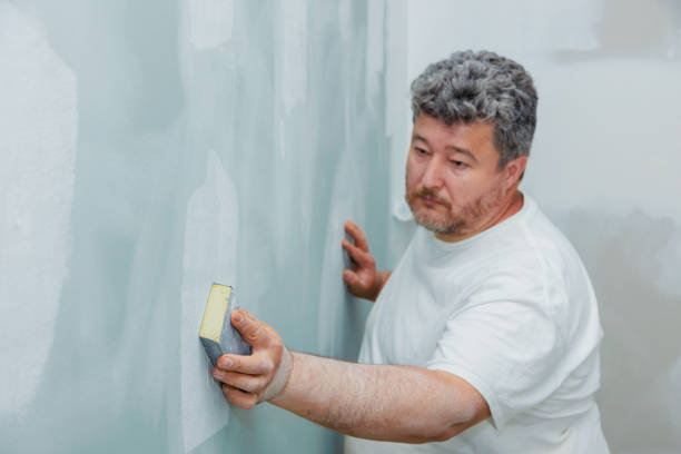 Best Mold Odor Removal Services  in Bay Springs, MS