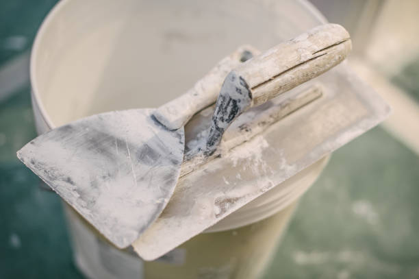 Best Black Mold Removal  in Bay Springs, MS